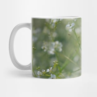 beautiful white wild flowers Mug